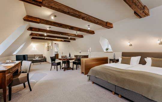 Offenes, großzügiges Zimmer mit Dachschrägen und rustikaler Einrichtung.